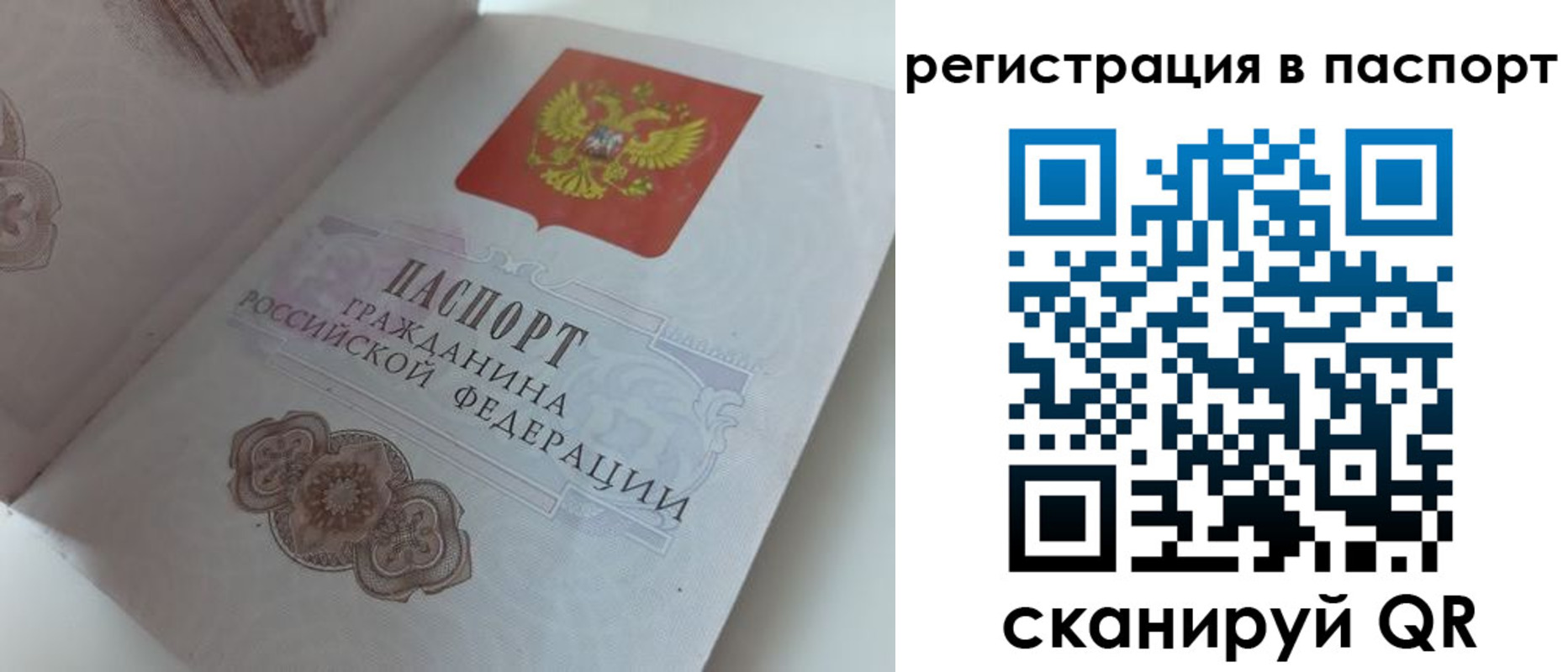 временная регистрация поиск в Владивостоке
